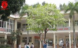Hà Nội đẹp dịu dàng trong sắc trắng hoa sưa